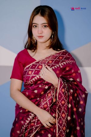 বাহারি কালার এলিগেন্ট জামদানি শাড়ি — নান্দনিক ও ক্লাসিক ডিজাইন (কোড 05)